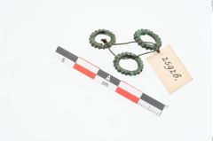 Foto von Bronzering (NHMW-PRAE-025926)
